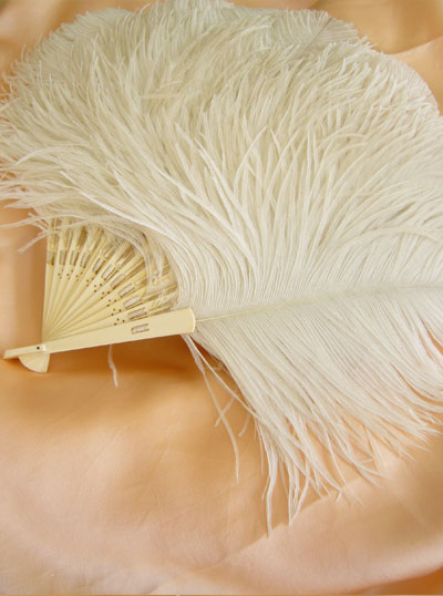 Victorian Ostrich Feather Fan~V-5