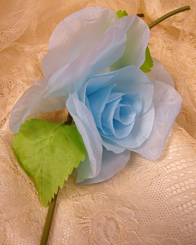 Pale Blue Rose