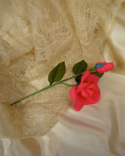 Deep Cerise Pink Rose