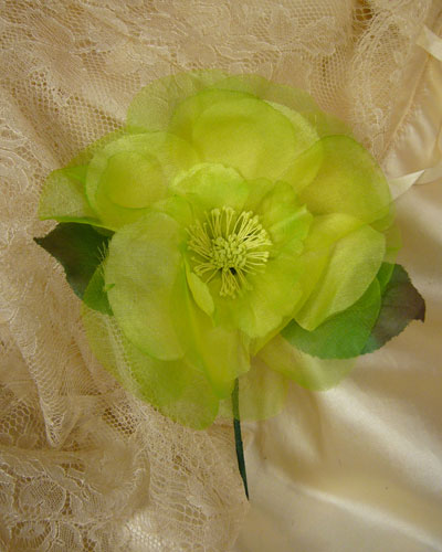 Green Garden Rose